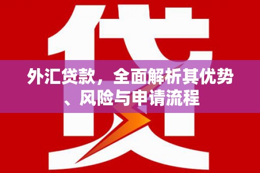 赣榆外汇贷款，全面解析其优势、风险与申请流程