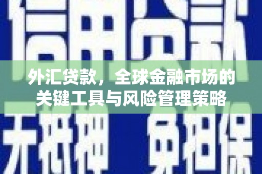 赣榆外汇贷款，全球金融市场的关键工具与风险管理策略
