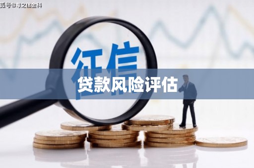 赣榆贷款风险评估