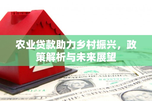 赣榆农业贷款助力乡村振兴，政策解析与未来展望