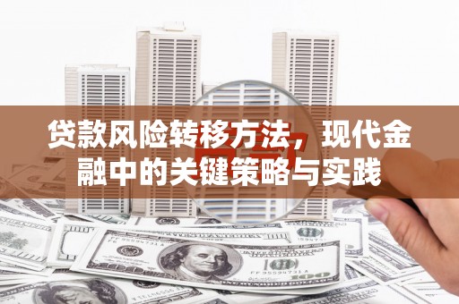 赣榆贷款风险转移方法，现代金融中的关键策略与实践