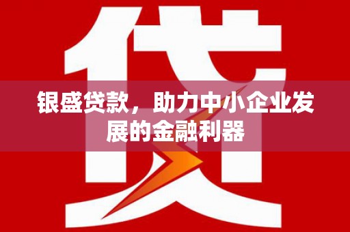 赣榆银盛贷款，助力中小企业发展的金融利器