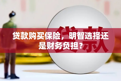 赣榆贷款购买保险，明智选择还是财务负担？