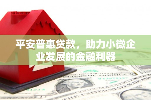 赣榆平安普惠贷款，助力小微企业发展的金融利器