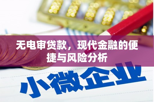 赣榆无电审贷款，现代金融的便捷与风险分析