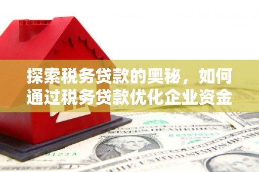 赣榆探索税务贷款的奥秘，如何通过税务贷款优化企业资金流