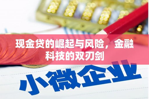 赣榆现金贷的崛起与风险，金融科技的双刃剑