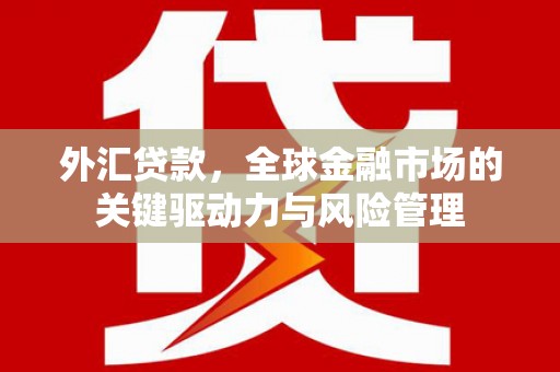 赣榆外汇贷款，全球金融市场的关键驱动力与风险管理