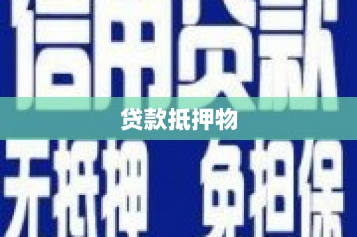 赣榆贷款抵押物