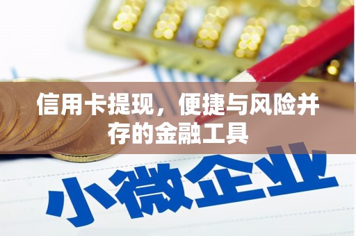 赣榆信用卡提现，便捷与风险并存的金融工具