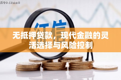 赣榆无抵押贷款，现代金融的灵活选择与风险控制