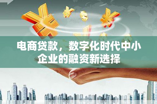 赣榆电商贷款，数字化时代中小企业的融资新选择