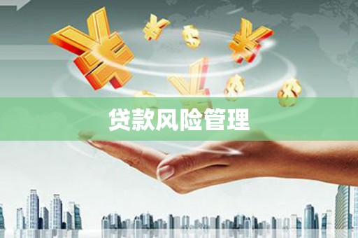 赣榆贷款风险管理