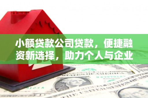 赣榆小额贷款公司贷款，便捷融资新选择，助力个人与企业成长