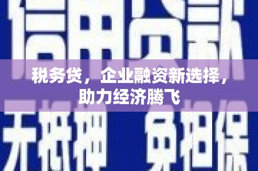 赣榆税务贷，企业融资新选择，助力经济腾飞
