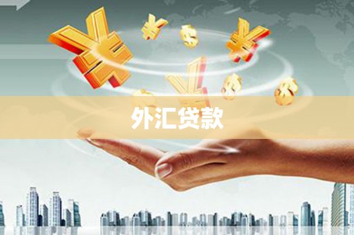 赣榆外汇贷款