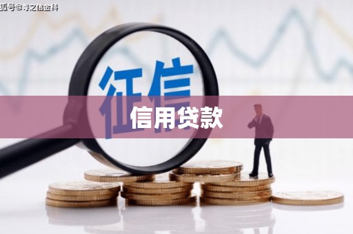 赣榆信用贷款