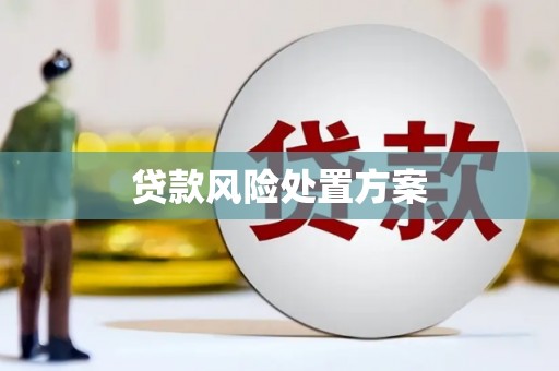 赣榆贷款风险处置方案
