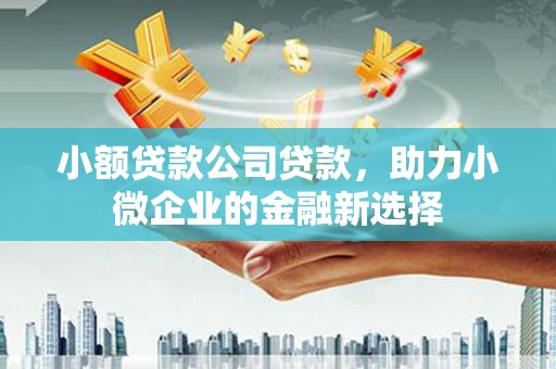 赣榆小额贷款公司贷款，助力小微企业的金融新选择
