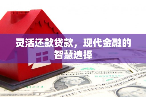 赣榆灵活还款贷款，现代金融的智慧选择