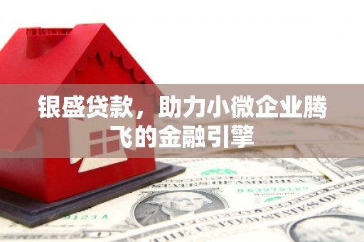 赣榆银盛贷款，助力小微企业腾飞的金融引擎