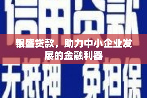 赣榆银盛贷款，助力中小企业发展的金融利器