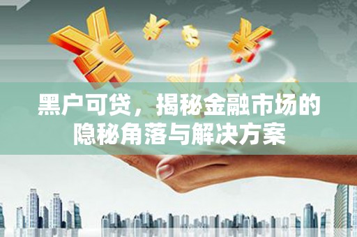 赣榆黑户可贷，揭秘金融市场的隐秘角落与解决方案