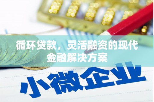 赣榆循环贷款，灵活融资的现代金融解决方案