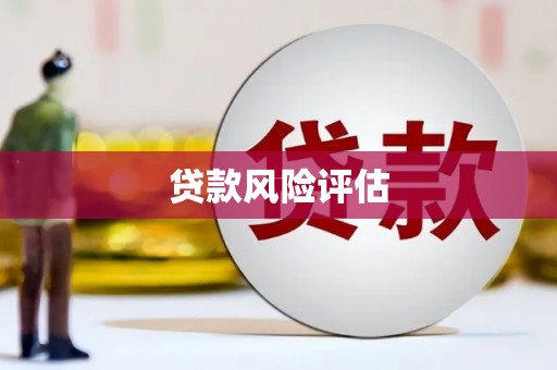 赣榆贷款风险评估