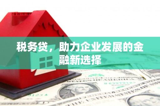 赣榆税务贷，助力企业发展的金融新选择
