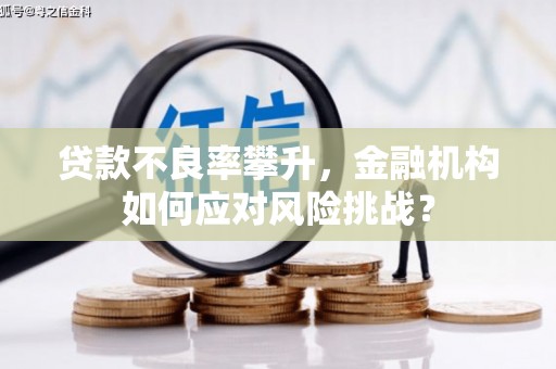 赣榆贷款不良率攀升，金融机构如何应对风险挑战？