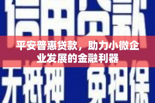 赣榆平安普惠贷款，助力小微企业发展的金融利器