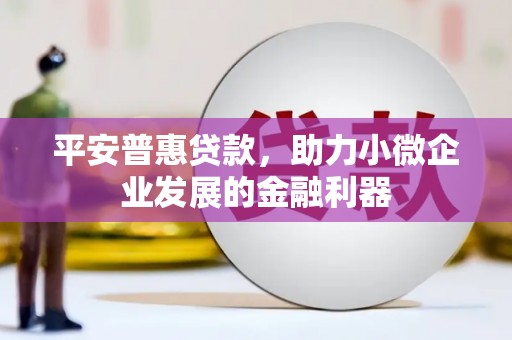 赣榆平安普惠贷款，助力小微企业发展的金融利器