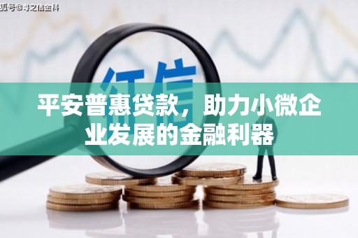 赣榆平安普惠贷款，助力小微企业发展的金融利器