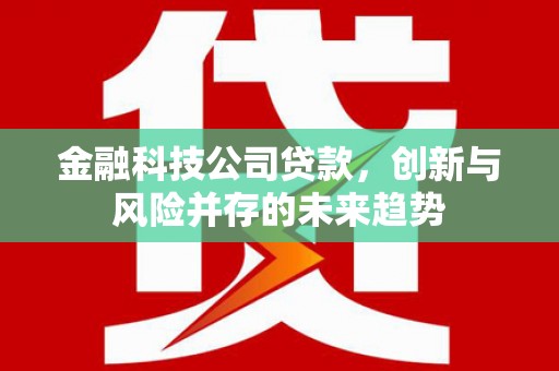 赣榆金融科技公司贷款，创新与风险并存的未来趋势