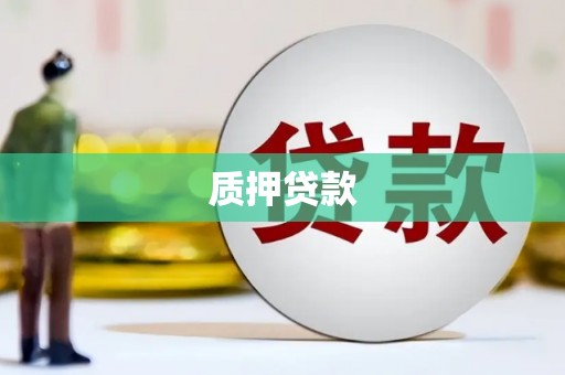 赣榆质押贷款