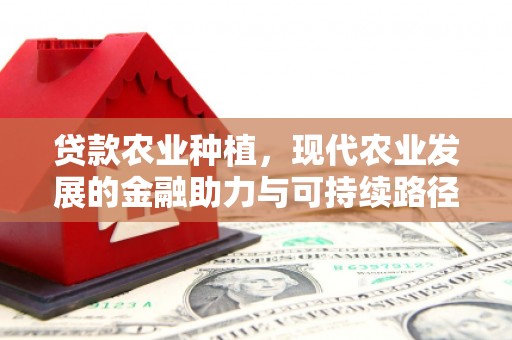 赣榆贷款农业种植，现代农业发展的金融助力与可持续路径