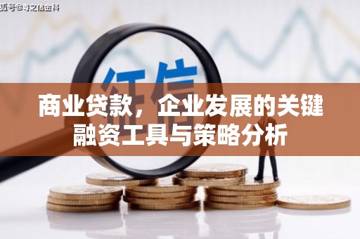 赣榆商业贷款，企业发展的关键融资工具与策略分析