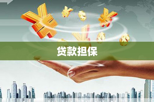 赣榆贷款担保