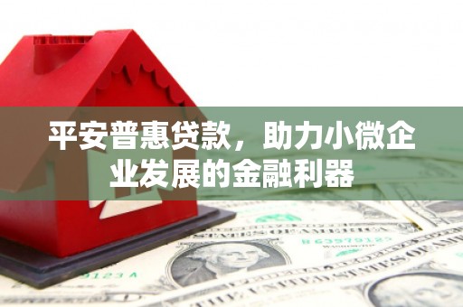 赣榆平安普惠贷款，助力小微企业发展的金融利器