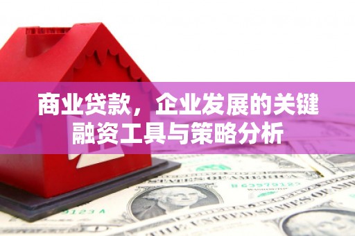 赣榆商业贷款，企业发展的关键融资工具与策略分析
