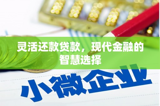 赣榆灵活还款贷款，现代金融的智慧选择
