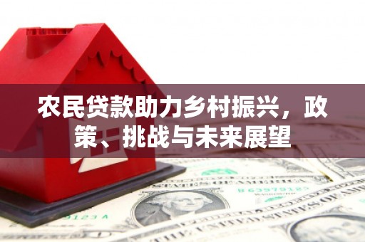 赣榆农民贷款助力乡村振兴，政策、挑战与未来展望