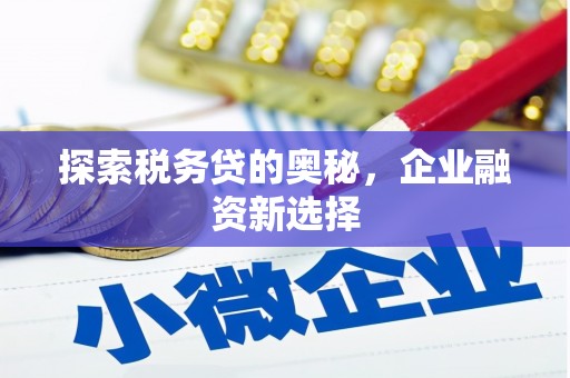 赣榆探索税务贷的奥秘，企业融资新选择