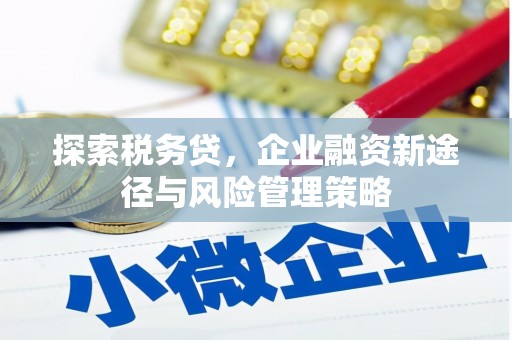 赣榆探索税务贷，企业融资新途径与风险管理策略