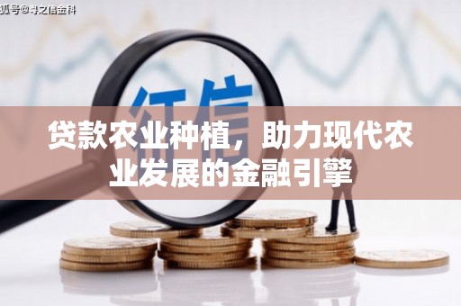 赣榆贷款农业种植，助力现代农业发展的金融引擎