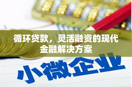 赣榆循环贷款，灵活融资的现代金融解决方案