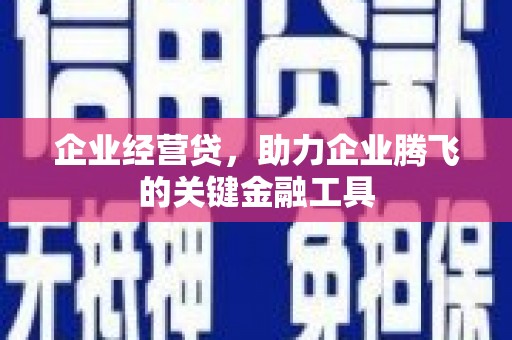 赣榆企业经营贷，助力企业腾飞的关键金融工具