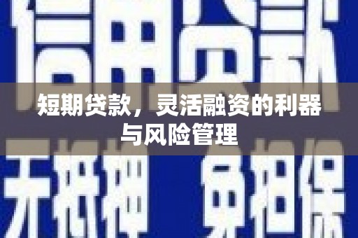 赣榆短期贷款，灵活融资的利器与风险管理