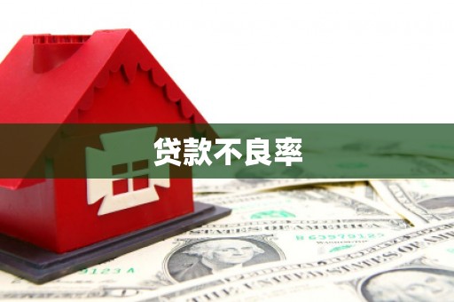 赣榆贷款不良率